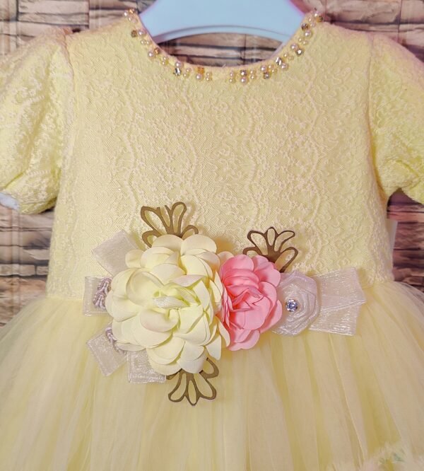 Fancy Baby Girl Dress, Lemon Netted CupCake Sleeves with Flower Embroidery | Rahamwears