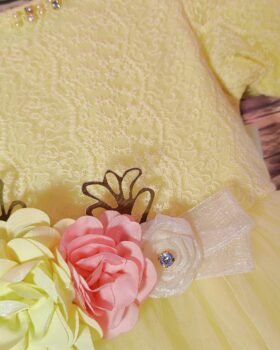 Fancy Baby Girl Dress, Lemon Netted CupCake Sleeves with Flower Embroidery | Rahamwears