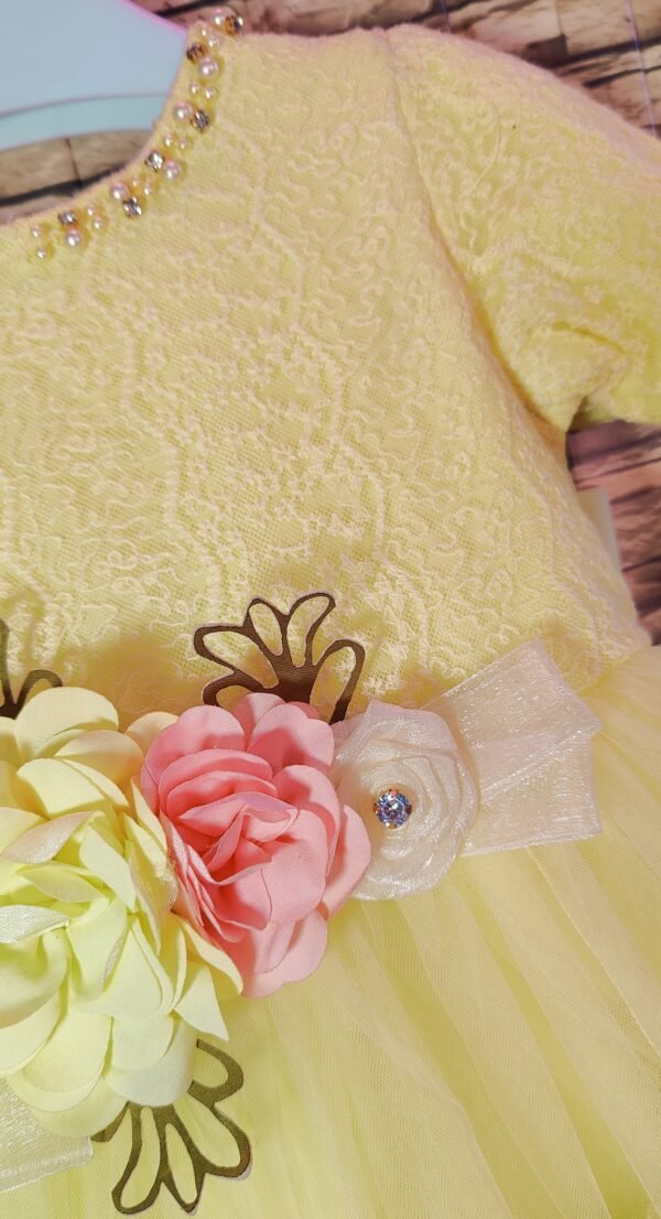 Fancy Baby Girl Dress, Lemon Netted CupCake Sleeves with Flower Embroidery | Rahamwears