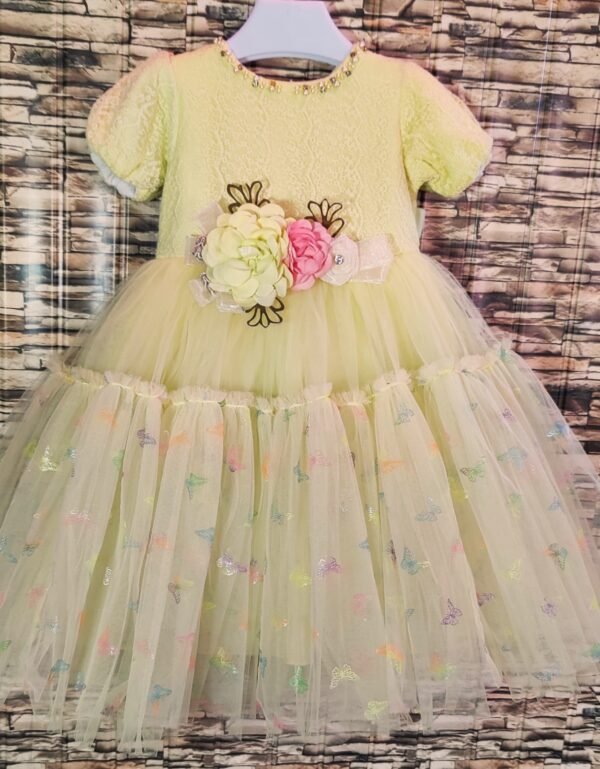 Fancy Baby Girl Dress, Lemon Netted CupCake Sleeves with Flower Embroidery | Rahamwears